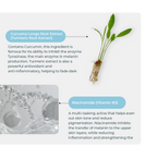 Abera Melasma Serum Treatment 30ml